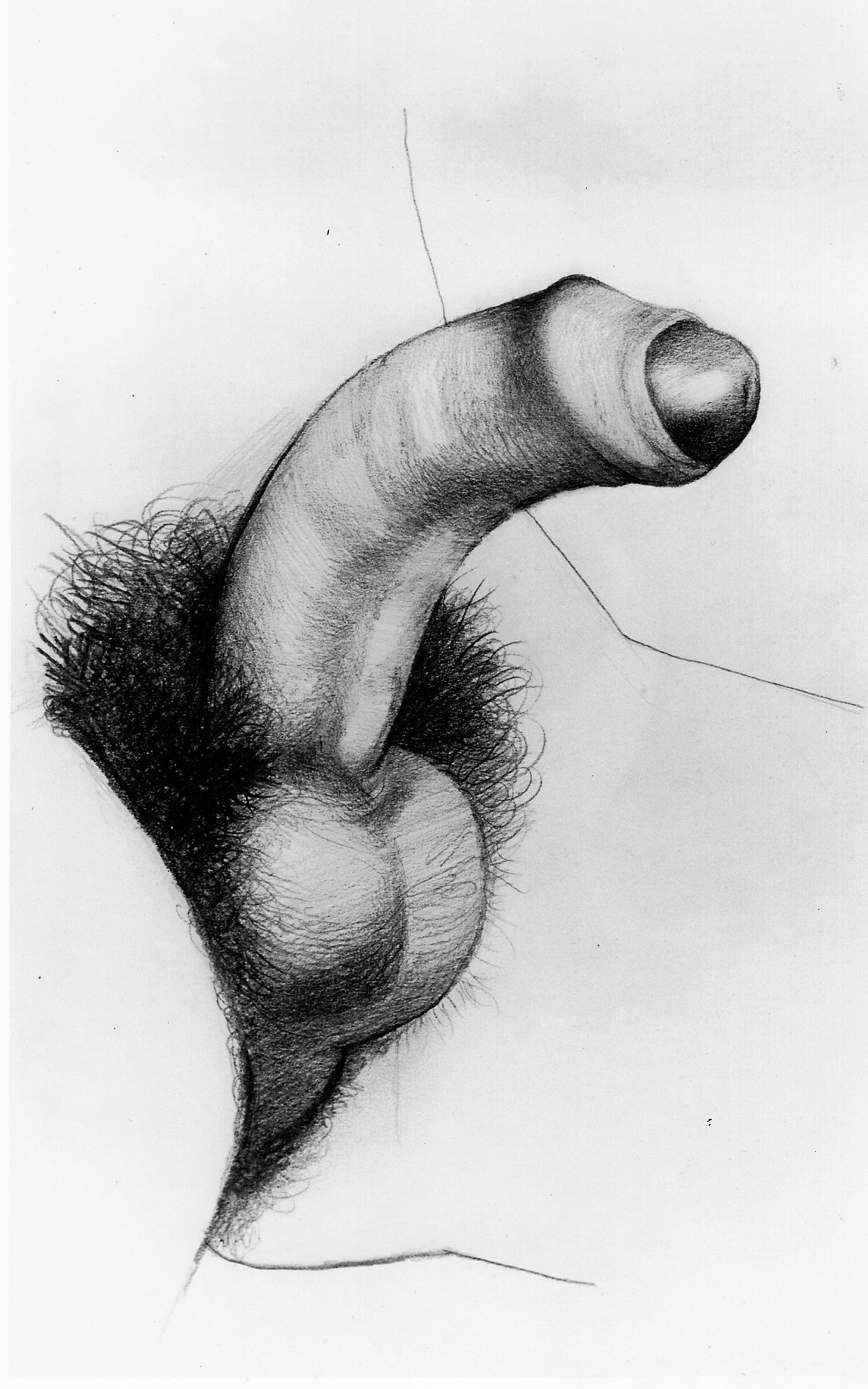 Small dick drawing