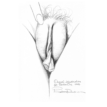 vulva_sketches-12f