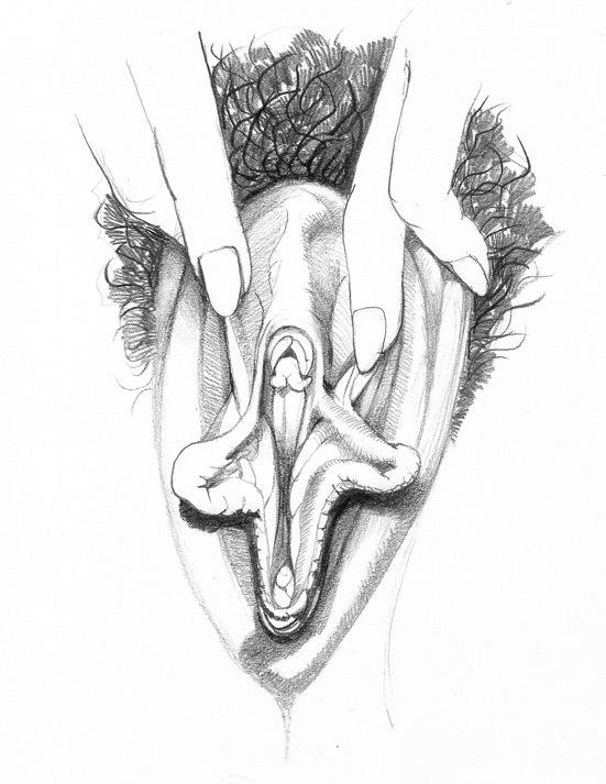 Baroque Vulva