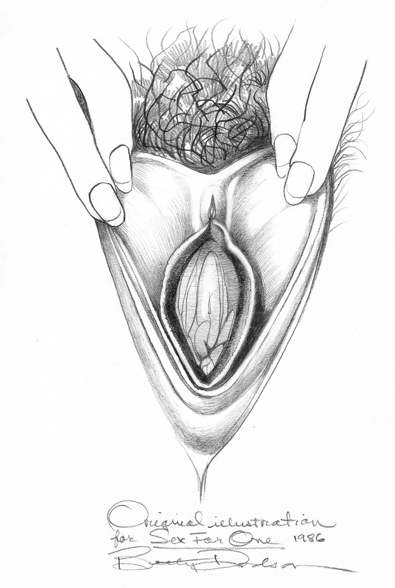 vulva